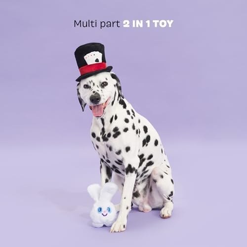 BarkBox Hat Hare