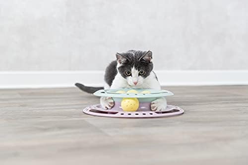Trixie Junior Cat Activity Circle Track, Chase Track, Cat Toy, Interactive Toy