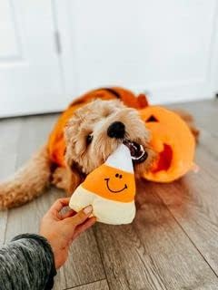 Midlee Pumpkin Find a Toy Halloween Dog Toy Interactive Plush SqueakerGift