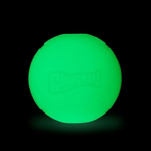 Chuckit! Glow in the Dark Bouncy Balls - Ball for Dogs, Chuckit Dog Toy, Max Glow Balls - Medium, 2.5 Inch, Pack of 4