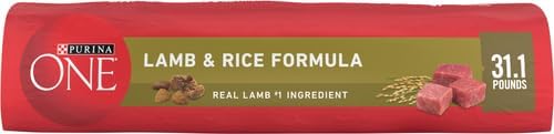 Purina ONE Lamb and Rice Dry Dog Food, 31.1 lb Bag | Natural recipe with real lamb as the first ingredient, and a microbiome balance with prebiotic fiber for gut & immune support