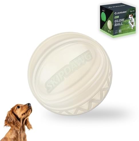 SKIPDAWG Glow Squeaky Dog Ball, 2.5 Inch Floating Bouncy TPR Pet Toy