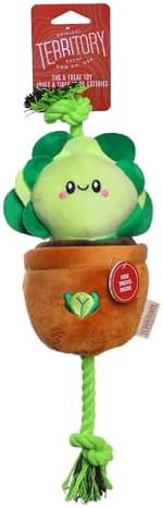 Territory Interactive Play Plush Treat-and-Tug Reward Toy for Dogs, Lettuce