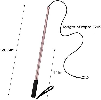 Flirt Pole for Dogs - Extendable Flirt Pole with 2pcs Fleece Lure Tugs for Dog Outdoor Entertainment, Train and Exercise, New Coffee