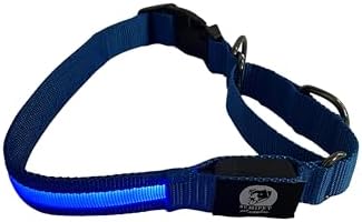Light-Up Martingale Training Adjustable Dog Puppy Collar - REMIPET - Waterproof, LED Illuminated, USB Rechargeable, Reflective Safety, Durable, Nylon, Gift (Blue, Medium)