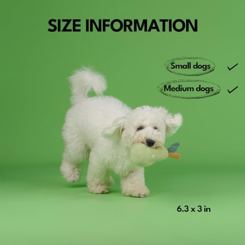 CHEWFFON Squeaky Plush Dog Toy, Pear