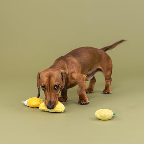 Fringe Studio Plush Dog Toy, 3 Pieces Set, Sour You Doing?, Pet Shop Collection (662169)