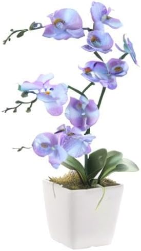 15" Silk Phalaenopsis Orchid in Square Pot, Purple Blue Flower Arrangements | Lifelike Faux Potted Blooms with Moss in a Ceramic Planter. Looks Real, Zero Upkeep, Ideal Centerpiece for Any Table