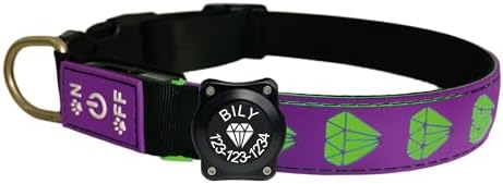 Personalized Dog Collar Waterproof airtag Dog tag Holder,USB C Light up Night Black Dog Collar (Purple, M(11.8-15.7"))