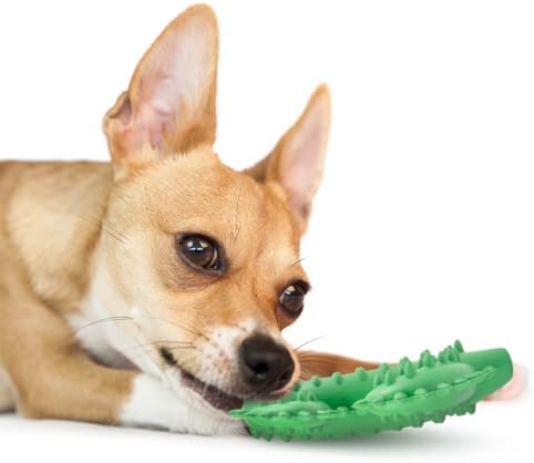 Jeffers Pet Natural Rubber Dog Chew Toy – Green Dental Cactus, Medium – Vanilla Scent, Durable, Non-Toxic, Dishwasher Safe, Interactive Fetch, Tug Toy & Dental Play - Perfect for Training