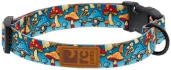 RC Pets Eco Clip Collar | Adjustable, Durable, Earth-Friendly (Medium, Funky Fungi)