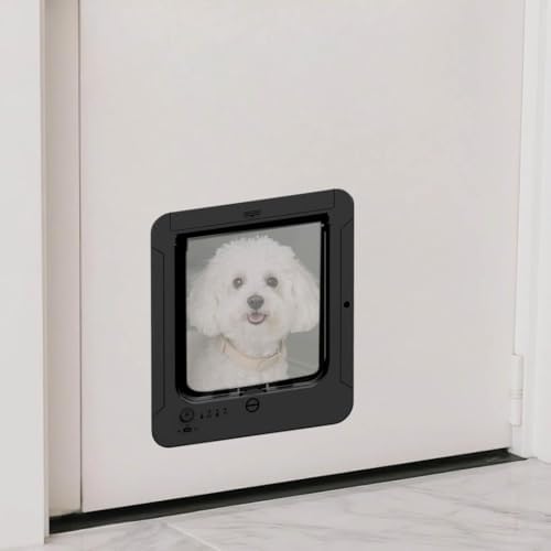 Cat Flap Door, Smart Cat Door for Interior & Exterior, Cat Flap Doors a Small Open Door for a Crate, Easy Installation Pet Doors for Cats Houses, Playpens, Cats delivery Room, etc. (Black)