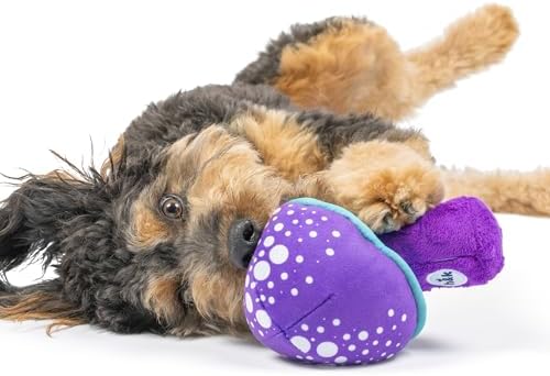 Huxley & Kent Power Plush Squeaky Dog Toy, Mellow Mushroom, Large