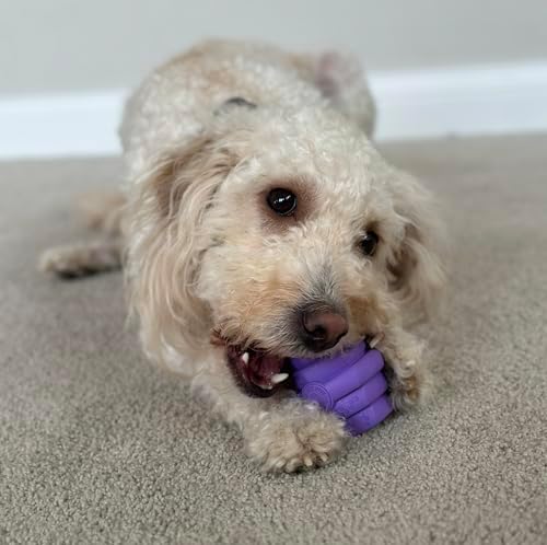 Hive Chew Toy for S/M Dogs – Purple/Calming Lavender Scent – Chew, Fetch, & Treat-Dispensing Enrichment Toy, Floats, Made in USA, Pairs with Hive Chew Sticks for S/M Dogs for Longer-Lasting Play