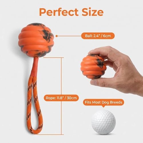 Ball on Rope Dog Toy - Durable Interactive Training Toy