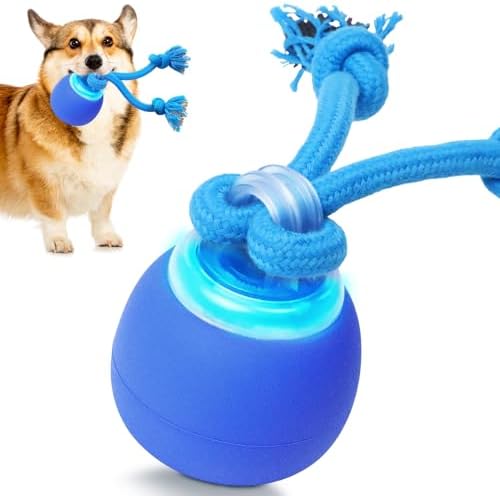 Interactive Dog Toys to Keep Them Chase Busy Buddy Doggie Ball for Small Puppy(Blue)