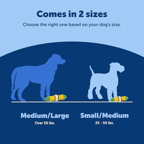 PetSafe Busy Buddy Cravin Corncob Treat Holding Dog Toy, Small/Medium