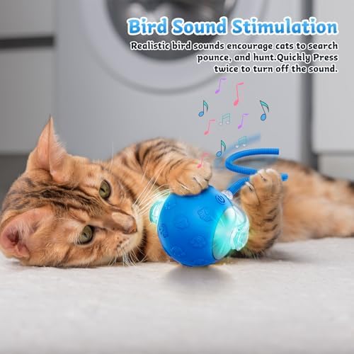 Interactive Cat Toys for Indoor Cats - Rechargeable Fast Rolling Ball