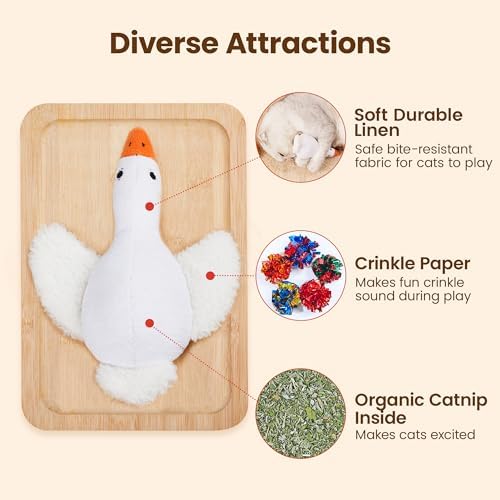 Potaroma Birds Cat Toys, 2 Pack Catnip Toys Soft Durable