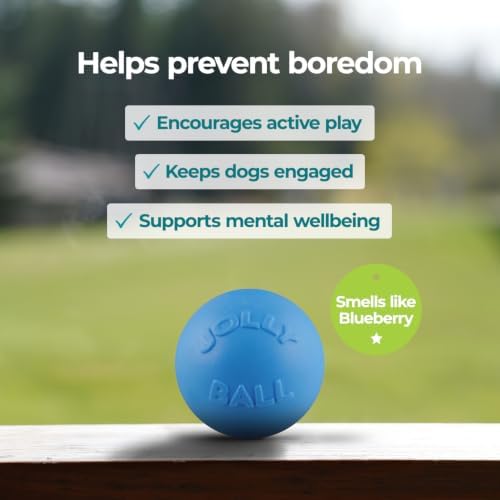 Jolly Pets Bounce-n-Play Dog Toy Ball, 6 Inches, Blueberry, All Breed Sizes