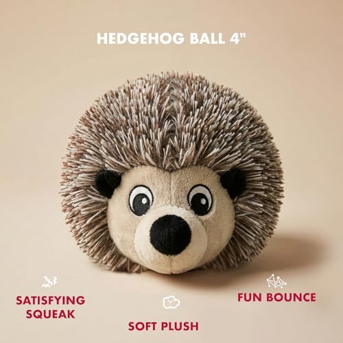 Pet Lou EZ Squeaky Ball Twin Pack, Hedgehog & Sloth Plush Dog Toys with Textured TPR Squeaky Core, Stuffing-Free Mesh-Reinforced Design, 4 Inch