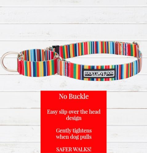 Lucky Love Dog Martingale Collar for Medium Dogs No Slip – Hippie, Medium