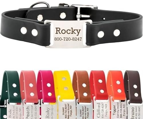 dogIDs Personalized Dog Collar – ScruffTag Custom Waterproof Biothane Dog Collar with Laser-Engraved Name, Durable & Odor-Resistant – USA Made | Black, 1 in x 20 in (Fits Neck Sizes 18-22 in)