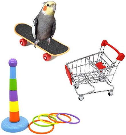 Hypeety 3 Pack Bird Intelligence Toys Stacking Training Rings Mini Shopping Cart Skateboard Stand Perch for Parrot Parakeet Cockatiel Conure Budgie Cockatoo (B)