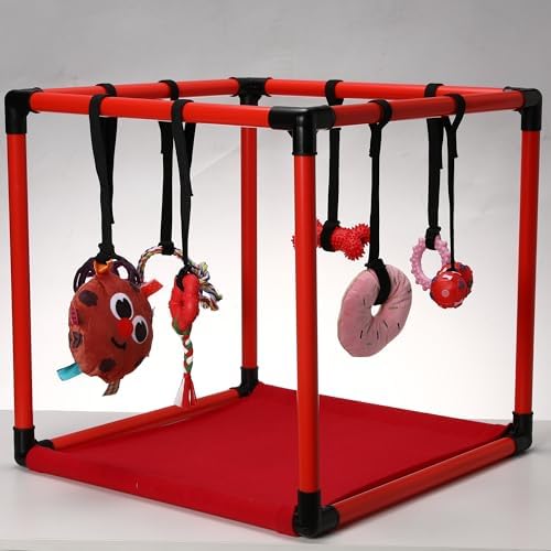 Race&Herd 19.5" Puppy Play Gym — Small Dog Jungle Activity Mat (Cherry)