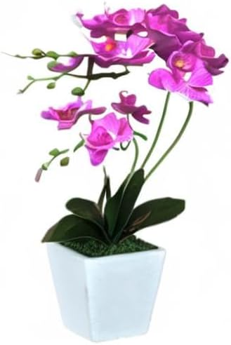 15" Silk Phalaenopsis Orchid in Square Pot, Fuchsia Flower Arrangements | Lifelike Faux Potted Blooms with Moss in a Ceramic Planter. Looks Real, Zero Upkeep, Ideal Centerpiece for Any Table