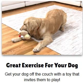 Interactive Dog Toy (Beau Bunny), Motion Activated Bouncing Talking Pet Toy, Exercise and Entertainment for Dogs and Puppies