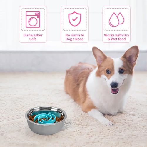 Slow Feeder Dog Bowls Insert, Bestalk Soft Silicone Slow Eating Feeder Insert with Suction Cups for Small, Medium and Large Dogs, Fit into Basic and Elevated Dog Bowls, Teal
