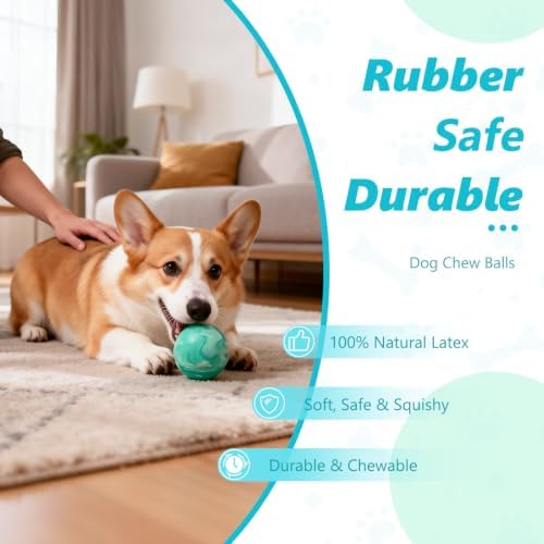 Squeaky Dog Balls, 4 Pack Soft Latex Small Dog Toys for Small Mideium Breeds, 2.5" Interactive Bouncy Fetch & Chew Toys for Puppy Training and Playing