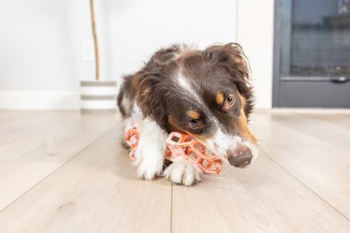 Chuckit! Holee Roller Dog Treat Puzzle Bone, Large, Orange – Interactive Treat & Chew Puzzle Toy for Dogs 60–100 lb – Durable Rubber Bone‑Shaped Fetch Toy for Mental Stimulation – Pack of 1