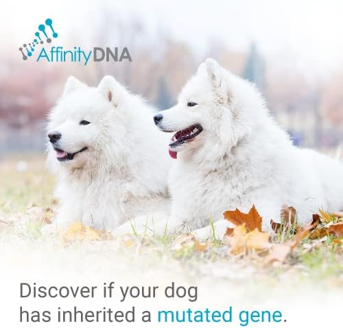 Dog Uric Acid DNA Test for Hyperuricosuria | Home Sample Collection Kit for 1 Canine | Dogs Uric Acid Testing | Results in 10-15 Working Days | A Complete Kit with No Extra Fees
