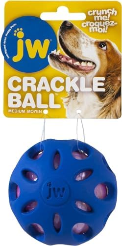 JW Pet Crackle Heads Ball Dog Toy [Set of 3] Size: Medium (8" H x 3" W x 3" L), Color: Green