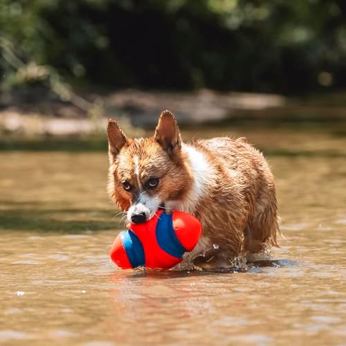 Chuckit! Fumble Fetch Dog Football, Small, Orange and Blue