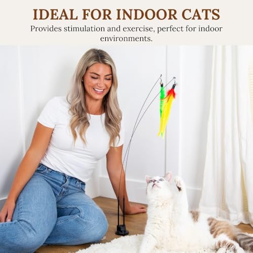 Cat Toys for Indoor Cats, Interactive Cat Toy Wand, Kitten Stuff, 9 Lures