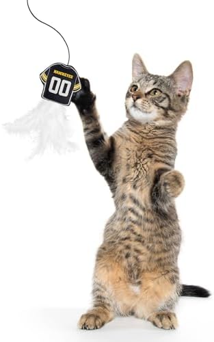 Pets First NCAA Iowa Hawkeyes Team Jersey Wand with CAT NIP, Cat Toy Jersey Shaped Plush Teaser Toy for Cats & Kittens - Interactive Pet Toy for Play & Exercise
