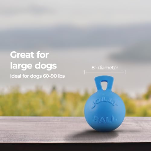 Jolly Pets Tug-n-Toss Heavy Duty Dog Toy Ball with Handle, 8 Inches/Large, Blueberry