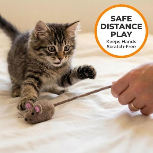 Glaciart One Felt Mouse Cat Toy – Soft Fuzzy Enrichment 100% Natural Wool - Interactive Catnip Play Cat Toy Set - Safe for Pets, Non-AZO Colored Dyes - 42” Long