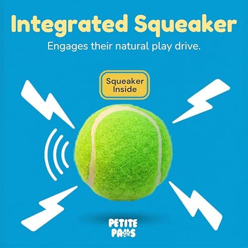 Colorful Squeaky Tennis Balls for Small Dogs and Puppies - 1.5 Inch - 12 Pack - Dog Training Toys for Positive Reinforcement, Interactive Squeaker Ball To Engage Attention Outside, Ball Launcher Fetch