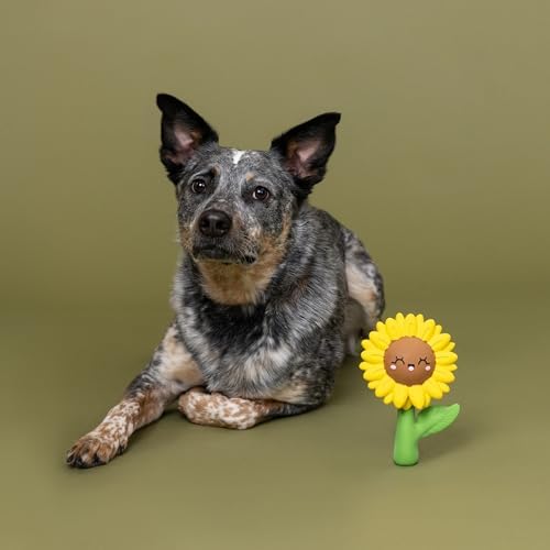Fringe Studio Latex Dog Toy, Way to Grow!, Pet Shop Collection (366085)