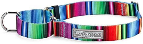 Lucky Love Dog Martingale Collar for Medium Dogs No Slip – Nacho, Medium