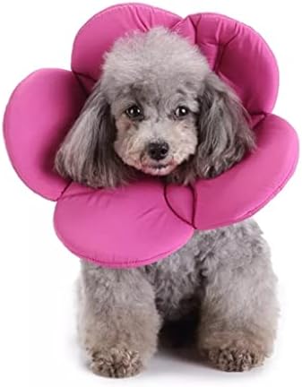 Flower Shape Pet Collar Dogs Postoperative Recovery Protection Collars Smart Cone Prevent Bite