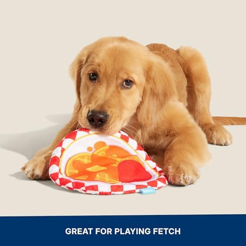 BarkBox Chicky and Woofles to Go Flying Disc Dog Toy - for Dogs