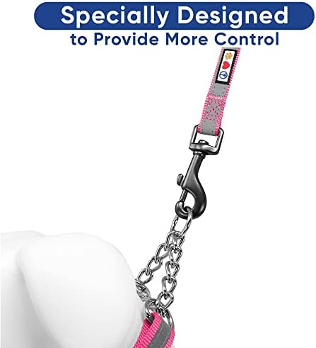 Pawtitas Pink Chain Martingale Dog Collar, Large
