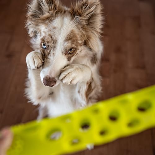 Messy Mutts Totally Pooched Huff n Puff Stick, 10 Inch, Puzzle, Green