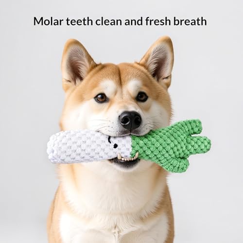 Squeaky Veggies Stuffed Dog Toy Crinkle Plush Interactive Chew Toy for Small Medium Dogs Soft Teething Puppy Toy with Sound Mental Stimulation Birthday Pet Gift (Welsh Onion)