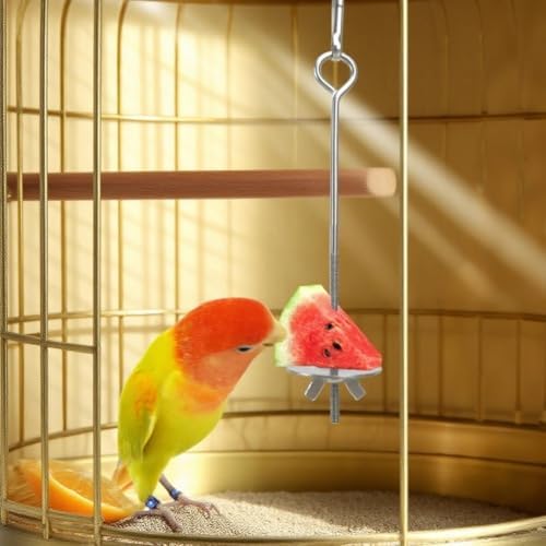 2 Pcs Rat Enrichment Toys - 304 Stainless Steel Rat Foraging Toy, Fruit & Vegetable Holder for Mice, Rats Cage Accessories Hanging Rodent Slow Feeder Puzzle Toy Parakeet Foraging Tool Rats Toys
